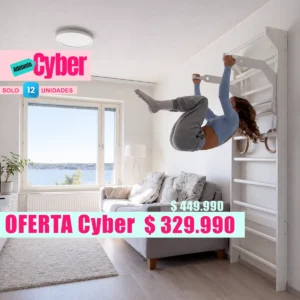 Escala Sueca Fitness ADELANTO CYBER
